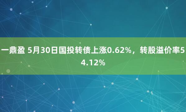 一鼎盈 5月30日国投转债上涨0.62%，转股溢价率54.12%