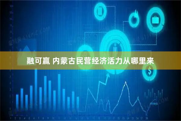 融可赢 内蒙古民营经济活力从哪里来