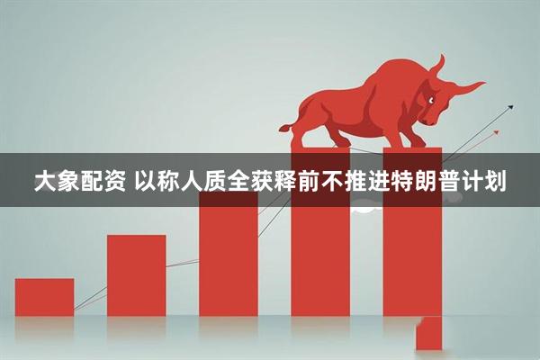 大象配资 以称人质全获释前不推进特朗普计划